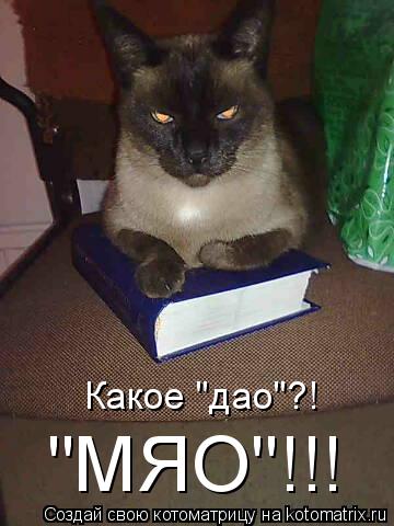 Котоматрица: Какое "дао"?! "МЯО"!!!