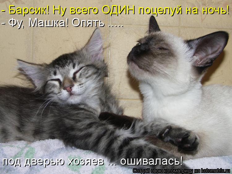 - Барсик! Ну всего ОДИН поцелуй на ночь! - Фу, Машка! Опять ..... под дверью хозяев ... ошивалась!... Котоматрица: - Барсик! Ну всего ОДИН поцелуй на ночь! - Фу, Машка! Опять ..... под дверью хозяев ... ошивалась!