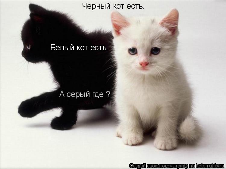 Котоматрица: Цікавий збіг))) Черный кот есть. Белый кот есть. А серый где ?