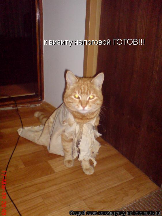 Котоматрица: к визиту налоговой ГОТОВ!!!