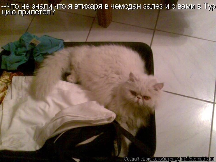 Котоматрица: --Что,не знали,что я втихаря в чемодан залез и с вами в Тур- цию прилетел?