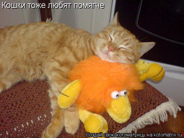 Котоматрица: Кошки тоже любят помягче