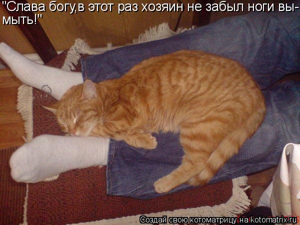 Котоматрица: "Слава богу,в этот раз хозяин не забыл ноги вы- мыть!"