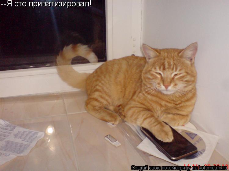 Котоматрица: --Я это приватизировал!