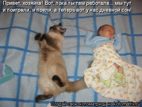 Котоматрица: Привет, хозяйка! Вот, пока ты там работала... мы тут и поиграли, и поели, а теперь вот у нас дневной сон!