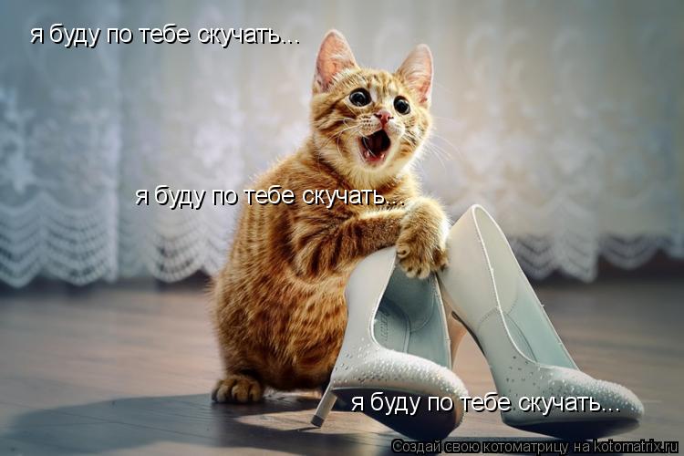 Котоматрица: я буду по тебе скучать... я буду по тебе скучать... я буду по тебе скучать...