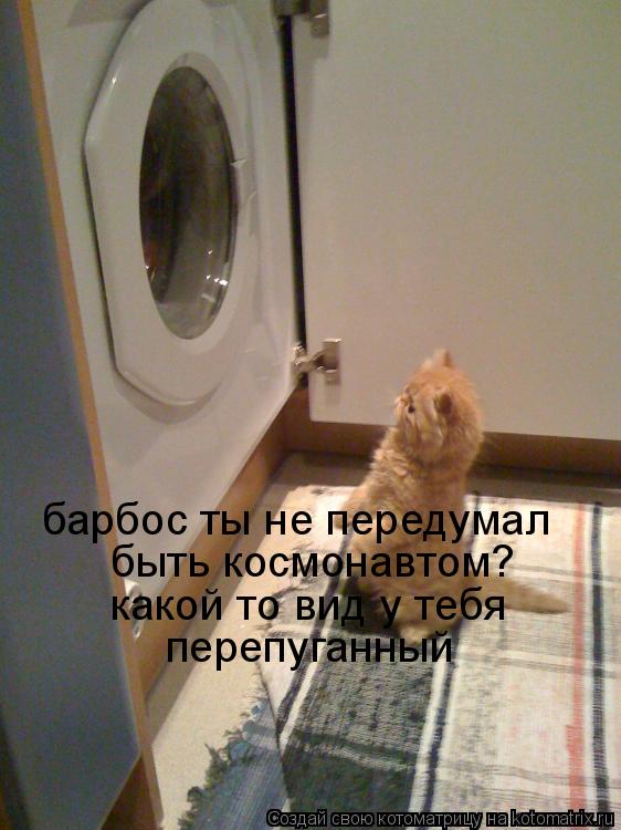 барбос ты не передумал быть космонавтом? какой то вид у тебя перепуганный... Котоматрица: барбос ты не передумал быть космонавтом? какой то вид у тебя перепуганный
