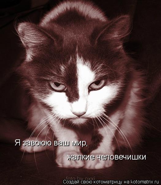 Котоматрица: Я завоюю ваш мир,  жалкие человечишки
