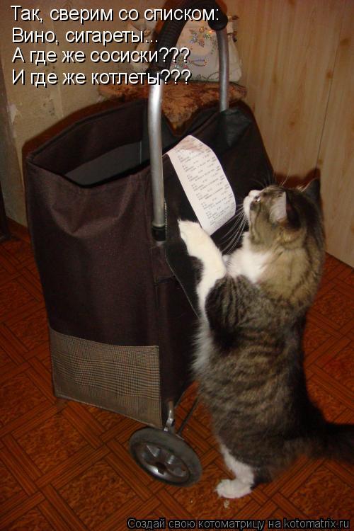 Котоматрица: Так, сверим со списком: А где же сосиски??? И где же котлеты??? Вино, сигареты...