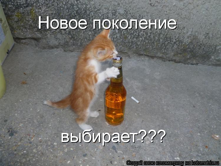 Котоматрица: Новое поколение выбирает???