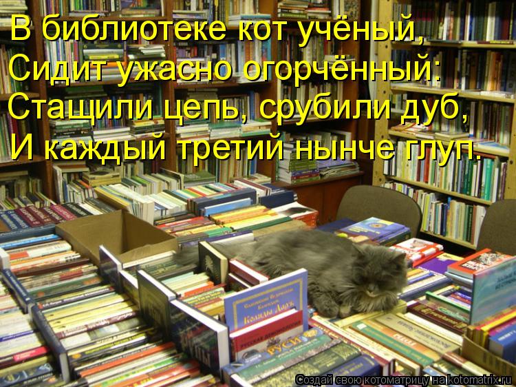 Котоматрица: В библиотеке кот учёный, Сидит ужасно огорчённый: Стащили цепь, срубили дуб, И каждый третий нынче глуп.