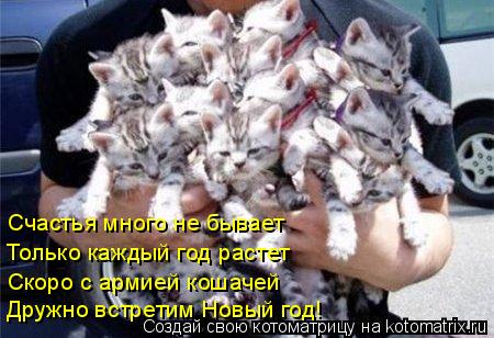 Котоматрица: Счастья много не бывает Только каждый год растет Скоро с армией кошачей Дружно встретим Новый год!