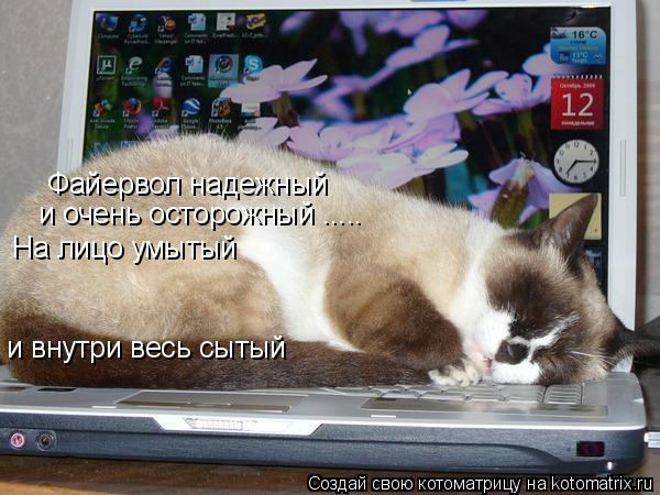 Котоматрица: Файервол надежный и очень осторожный ..... На лицо умытый и внутри весь сытый