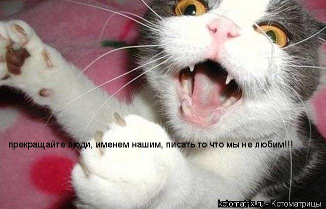 Котоматрица: прекращайте люди, именем нашим, писать то что мы не любим!!!