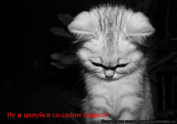 Котоматрица: Ну и целуйся со своим Сашкой...