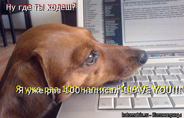 Котоматрица: Ну где ты ходеш?  Я уже раз 100 написал"I LAVE YOU!!! " Я уже раз 100 написал"I LAVE YOU!!! " Ну где ты ходеш?