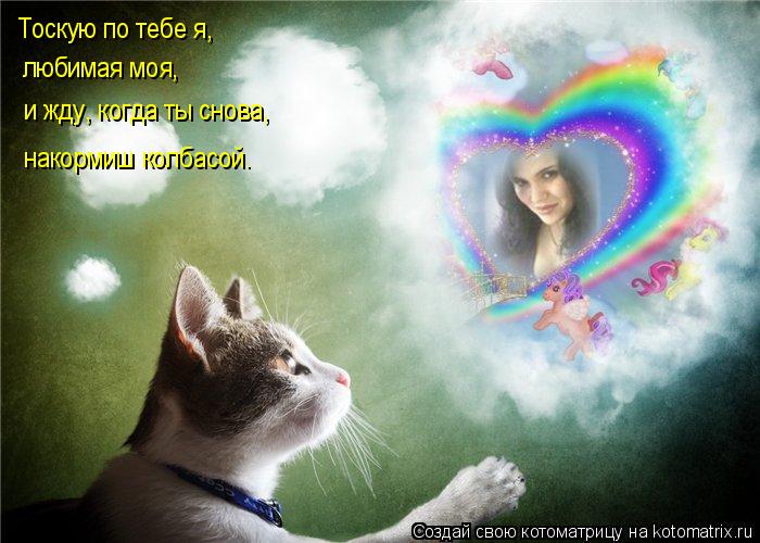 Котоматрица: Тоскую по тебе я,  любимая моя, и жду, когда ты снова, накормиш колбасой.