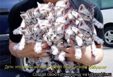 Котоматрица: Дети это цветы жизни! Собрал букет-отнеси бабушке!