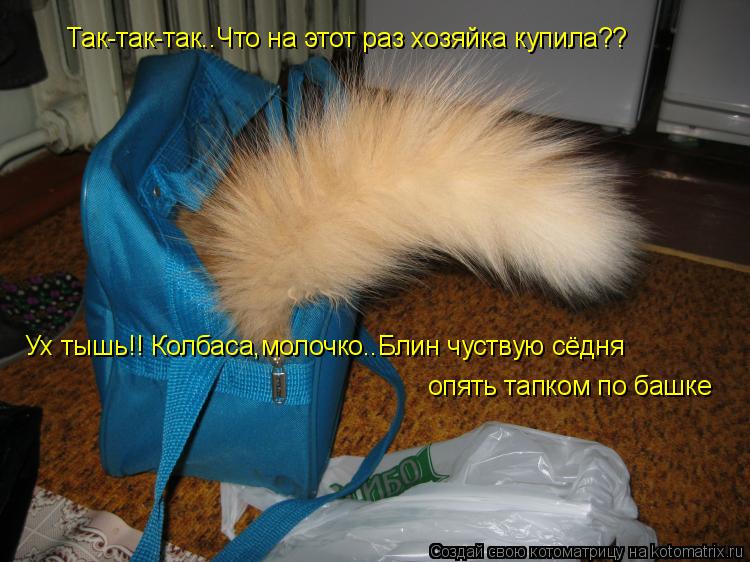 Котоматрица: Так-так-так..Что на этот раз хозяйка купила?? Ух тышь!! Колбаса,молочко..Блин чуствую сёдня опять тапком по башке