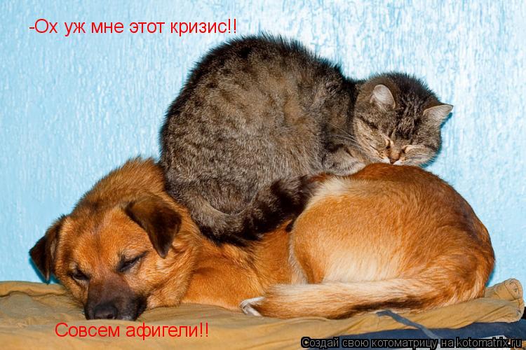 Котоматрица: -Ох уж мне этот кризис!! Совсем афигели!!