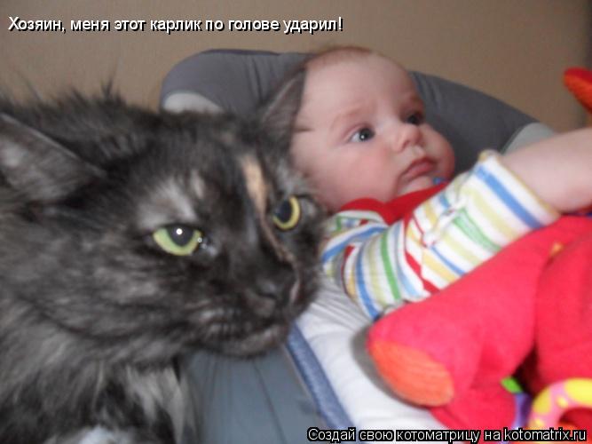 Котоматрица: Хозяин, меня этот карлик по голове ударил!