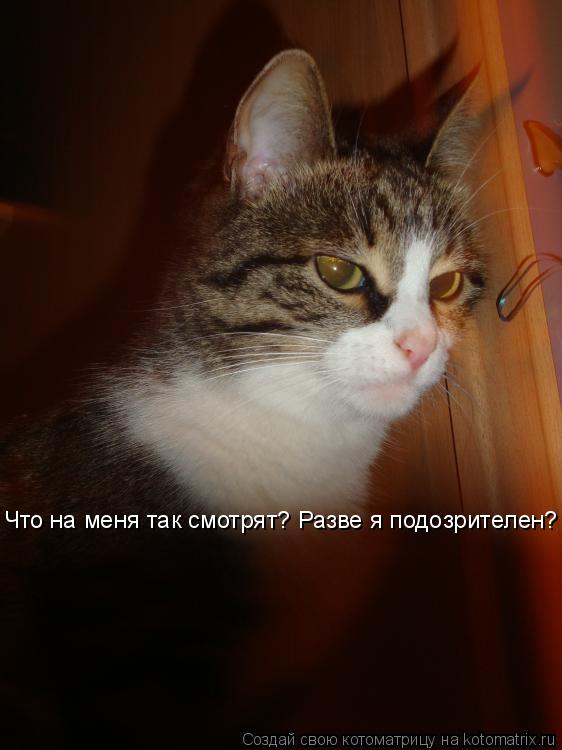 Котоматрица: Что на меня так смотрят? Разве я подозрителен?