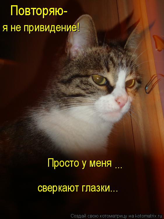Котоматрица: Повторяю- я не привидение! Просто у меня сверкают глазки... ...