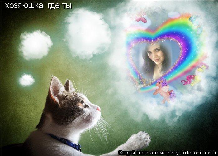 Котоматрица: хозяюшка  где ты