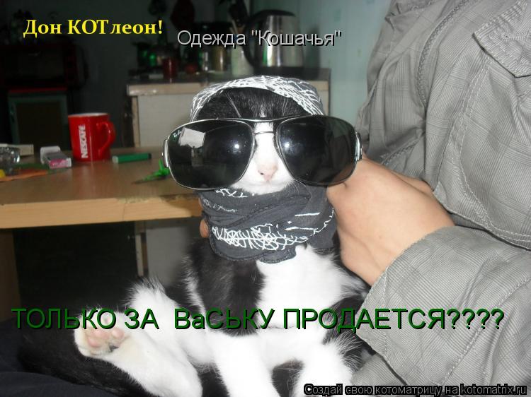 Котоматрица: Одежда "Кошачья" ТОЛЬКО ЗА  ВаСЬКУ ПРОДАЕТСЯ????
