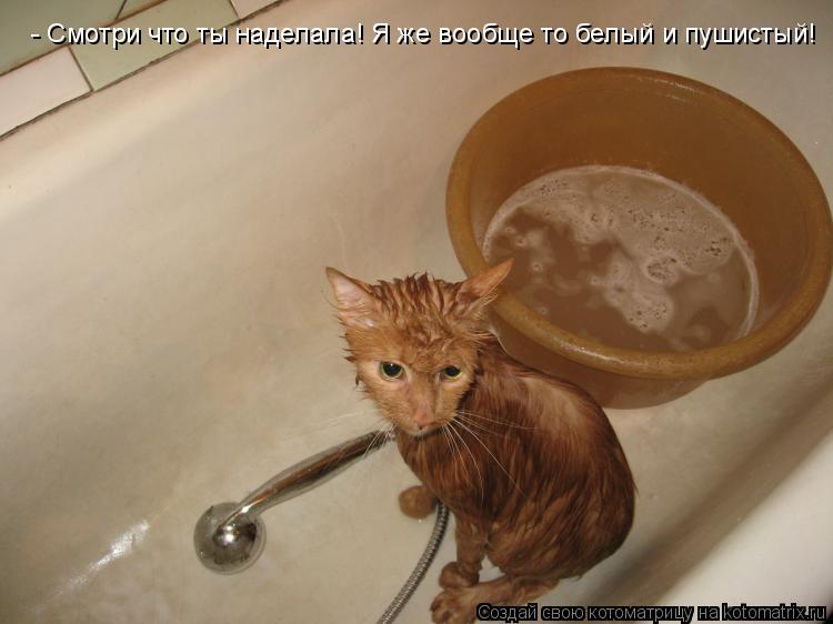 Котоматрица: - Смотри что ты наделала! Я же вообще то белый и пушистый!