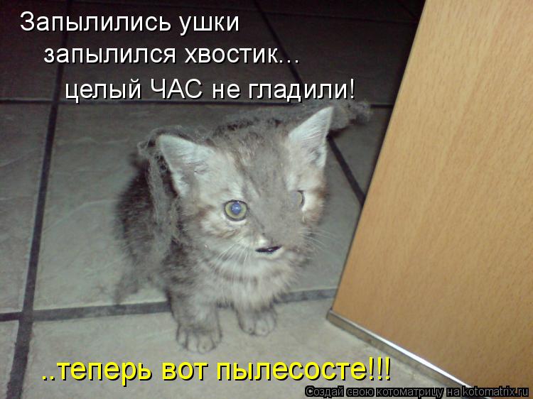 Запылились ушки запылился хвостик... целый ЧАС не гладили! ..теперь вот пылесосте!!!... Котоматрица: Запылились ушки запылился хвостик... целый ЧАС не гладили! ..теперь вот пылесосте!!!