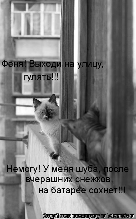 Котоматрица: Феня! Выходи на улицу, гулять!!! Немогу! У меня шуба, после  вчерашних снежков, на батарее сохнет!!!