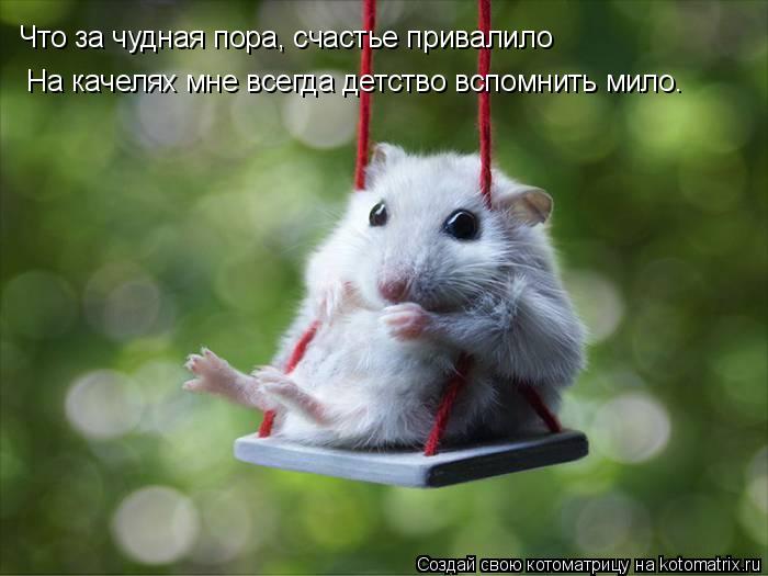 Котоматрица: Что за чудная пора, счастье привалило На качелях мне всегда детство вспомнить мило.