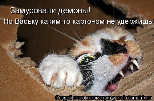 Котоматрица: Замуровали демоны! Но Ваську каким-то картоном не удержишь!
