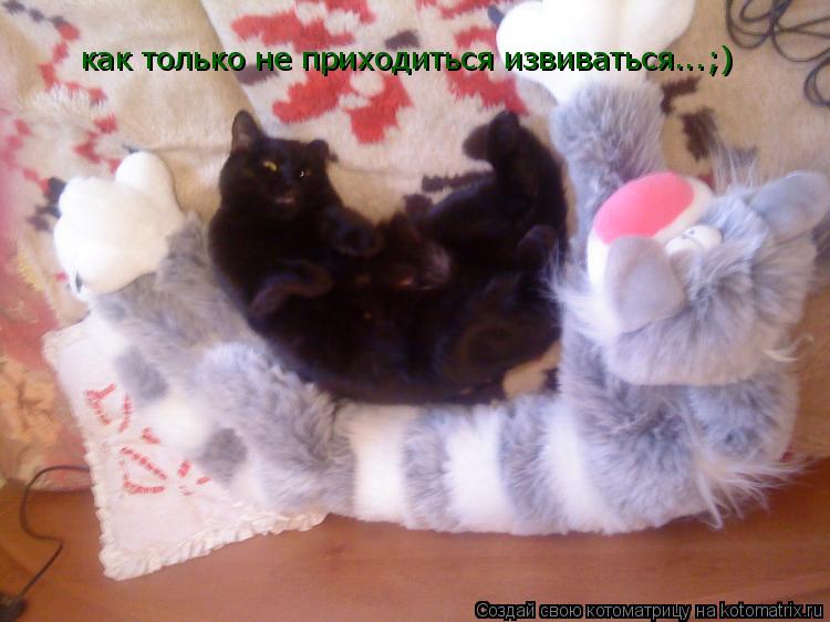 Котоматрица: как только не приходиться извиваться...;)