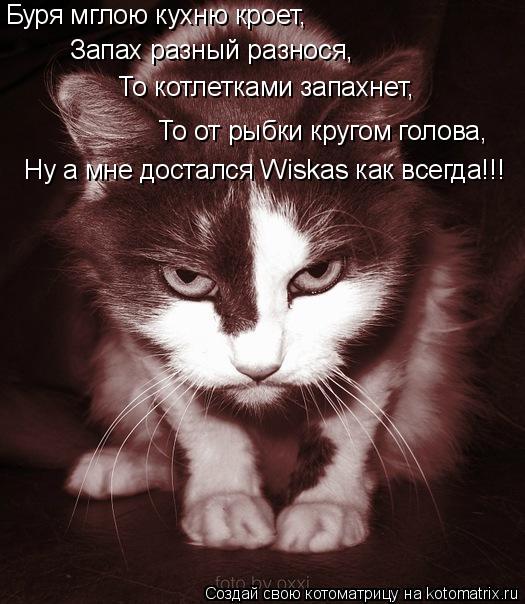 Котоматрица: Буря мглою кухню кроет, Запах разный разнося, То котлетками запахнет, То от рыбки кругом голова, Ну а мне достался Wiskas как всегда!!!