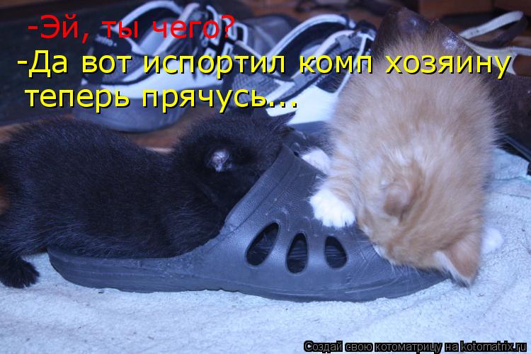 Котоматрица: -Эй, ты чего? -Да вот испортил комп хозяину теперь прячусь...