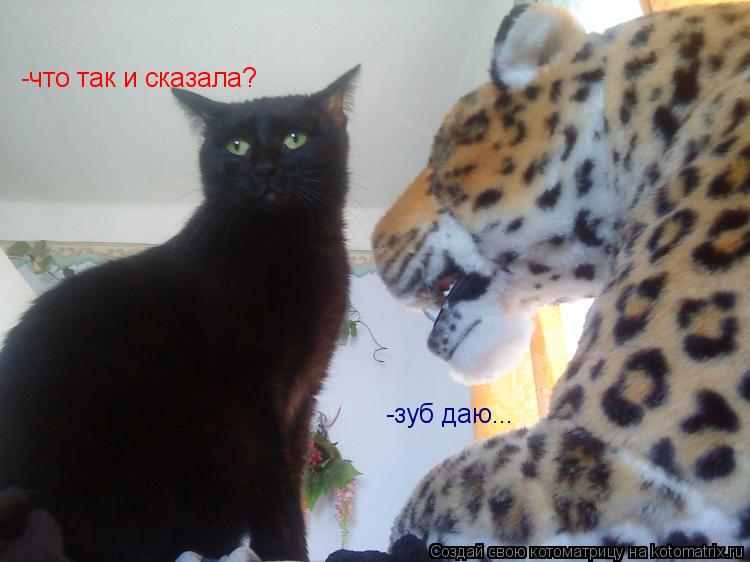 Зуб даю на немецком Зуб даю на немецком