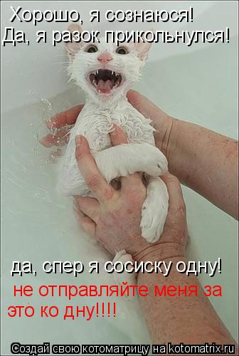 Котоматрица: Хорошо, я сознаюся! Да, я разок прикольнулся! да, спер я сосиску одну! не отправляйте меня за это ко дну!!!!
