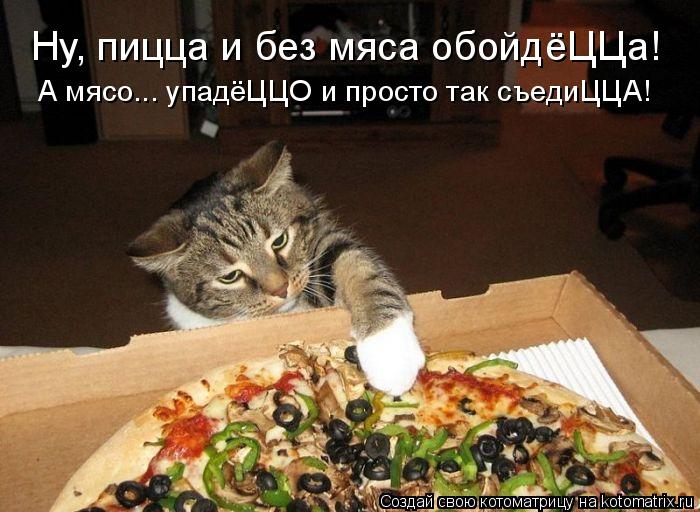 Котоматрица: Ну, пицца и без мяса обойдёЦЦа! А мясо... упадёЦЦО и просто так съедиЦЦА!