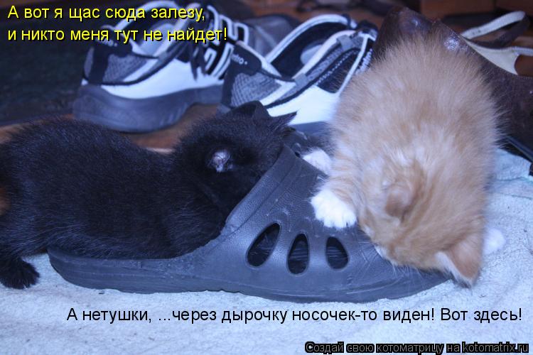 А вот я щас сюда залезу, и никто меня тут не найдет! А нетушки, ...через дырочку носочек-то виден! Во... Котоматрица: А вот я щас сюда залезу, и никто меня тут не найдет! А нетушки, ...через дырочку носочек-то виден! Вот здесь!
