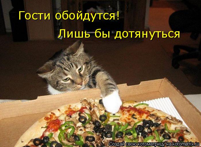 Котоматрица: Гости обойдутся! Лишь бы дотянуться