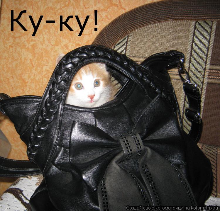 Котоматрица: Ку-ку!