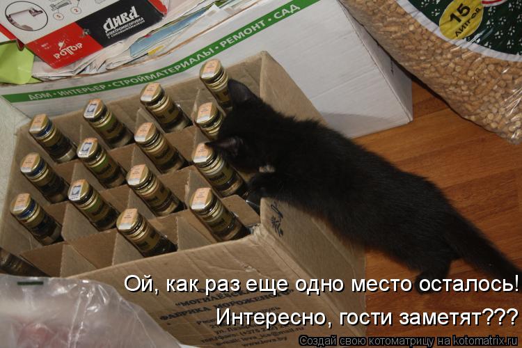 Котоматрица: Ой, как раз еще одно место осталось!  Интересно, гости заметят???
