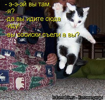 Котоматрица: - э-э-эй вы там, -я? -да вы идите сюда -иду! -вы сосиски съели а вы?
