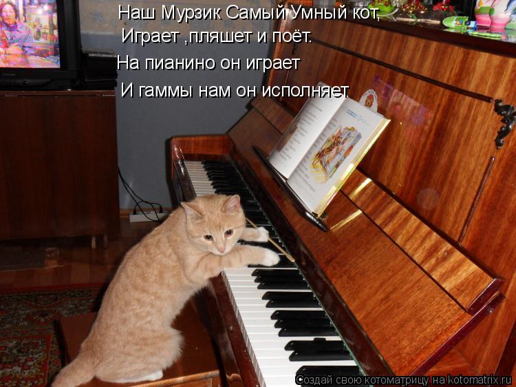 Котоматрица: Наш Мурзик Самый Умный кот, Играет ,пляшет и поёт. На пианино он играет И гаммы нам он исполняет