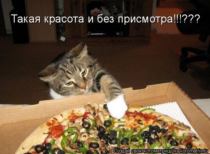 Котоматрица: Такая красота и без присмотра!!!???