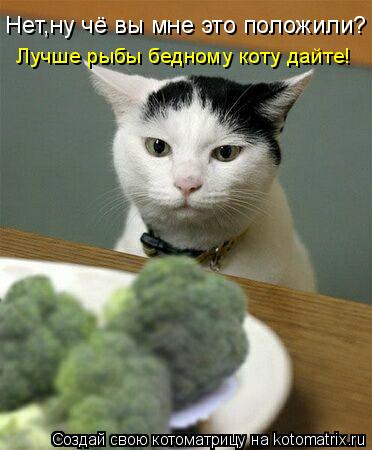 Котоматрица: Нет,ну чё вы мне это положили? Лучше рыбы бедному коту дайте!