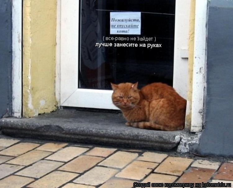 Котоматрица: лучше занесите на руках ( все-равно не зайдет )