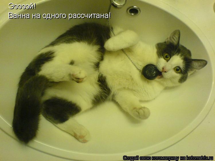 Котоматрица: Эээээй! Ванна на одного рассчитана!